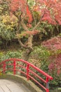 Autumn foliage overlooking the red bridge of the japanese temple Benzaiten in the forest parc of Inokashira in Kichijoji city Royalty Free Stock Photo