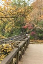 Autumn foliage overlooking the wooden bridge of the japanese temple Benzaiten in the forest parc of Inokashira in Kichijoji city Royalty Free Stock Photo