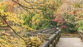 Autumn foliage overlooking the wooden bridge of the japanese temple Benzaiten in the forest parc of Inokashira in Kichijoji city Royalty Free Stock Photo