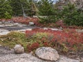 Autumn Foliage on Pemetic Mountain, Acadia National Park Royalty Free Stock Photo