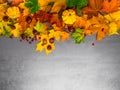 Autumn foliage with pumpkins, acorns, chesnuts for Thanksgiving and fall holidays. Bottom border background with copy space
