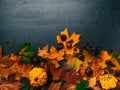 Autumn foliage with pumpkins, acorns, chesnuts for Thanksgiving and fall holidays. Bottom border background with copy space