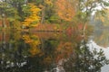 Autumn Foliage Reflection