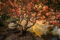 Autumn foliage and reflections in pond.