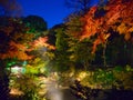 Autumn foliage in Rikugien Garden, Komagome, Tokyo Royalty Free Stock Photo