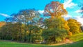 Autumn foliage at Roundhay Park Royalty Free Stock Photo