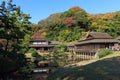 Autumn foliage in the Sankeien Garden, Yokohama, Kanagawa, Japan Royalty Free Stock Photo