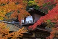 Autumn foliage in the Sankeien Garden, Yokohama, Kanagawa, Japan Royalty Free Stock Photo