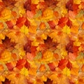 Autumn foliage seamless pattern, watercolor illustration, background Royalty Free Stock Photo