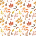 Autumn foliage seamless pattern with white background. Watercolor botanical print. Hand-painted orange, brown and yellow tree Royalty Free Stock Photo