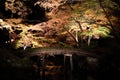 Autumn-foliage special feature, night maples with bridge in Rikugien in japan Royalty Free Stock Photo