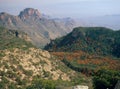 Autumn foliage from the summit of Emory Peak, Big Bend National park, Texas