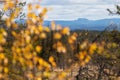 Autumn foliage taiga forest in Riisitunturi National Park, Finland Royalty Free Stock Photo