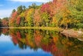 Autumn foliage tree reflections in pond Royalty Free Stock Photo