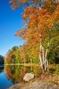 Autumn foliage trees by a lake in New England Royalty Free Stock Photo