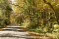 Autumn Foliage in Vermont Royalty Free Stock Photo