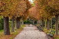 Autumn foliage in Volksgarten park, Vienna, Austria