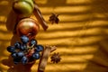 Autumn food with copy space and trendy shadows. Creative fruits photography: group of grapes, apples, star anise and