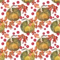 Autumn food. Seamless pattern watercolor yellow pumpkin, red currant berries, orange branch leaves on white. Hand-drawn Royalty Free Stock Photo