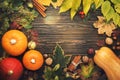 Autumn food top view, Thanksgiving or Halloween background: pumpkins, nuts, fallen leaves and spices on brown wooden background. Royalty Free Stock Photo