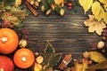 Autumn food top view, Thanksgiving or Halloween background: pumpkins, nuts, fallen leaves and spices on brown wooden background. Royalty Free Stock Photo