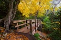 Autumn at the foot bridge