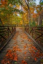 Autumn Foot Bridge Royalty Free Stock Photo