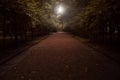 autumn foot path alley symmetry soft focus outdoor photography brown leaves and foliage, background morning sun rise light Royalty Free Stock Photo