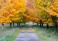 Autumn Footpath