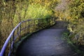 Autumn footpath