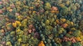 Autumn forest aerial drone top view