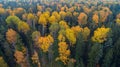 Autumn forest aerial drone view Royalty Free Stock Photo