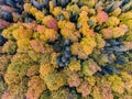 Autumn Forest Aerial View Royalty Free Stock Photo