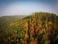 Autumn forest aerial view Royalty Free Stock Photo