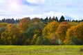 Autumn forest against blue sky and green field in the foreground Royalty Free Stock Photo