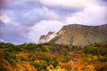 Autumn forest against the high rocks in clouds Royalty Free Stock Photo