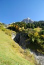 Autumn forest and alps Royalty Free Stock Photo