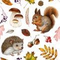 Autumn forest animals, natural elements seamless pattern. Watercolor illustration. Hand drawn squirrel, hedgehog Royalty Free Stock Photo
