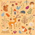 Autumn Forest Animals Set illustration Vector