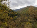 Autumn forest in the Aragonese Pyrenees. Forest with orange colors, autumn yellow Royalty Free Stock Photo