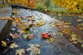 Steps covered in fallen leaves, autumn forest, autumn in the Park, yellow and red leaves on trees in autumn Royalty Free Stock Photo