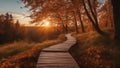 autumn in the forest a beautiful panoramic autumn landscape with a wooden path leading to a scenic sunset in the sky Royalty Free Stock Photo