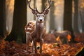 Autumn forest beauty European fallow deer in a picturesque wildlife scene