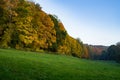 Autumn forest behind a meadow in the light of the evening sun. Royalty Free Stock Photo