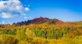 Autumn forest and blue sky