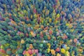 Autumn forest in the Carpathians, copter