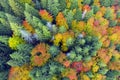 Autumn forest in the Carpathians, copter