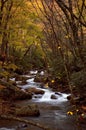 Autumn Forest Cascade Royalty Free Stock Photo