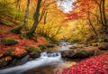 An autumn forest with colorful leaves and a babbling brook.