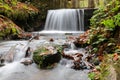 Autumn, forest, colorful leaves and waterfall, stream, lake views